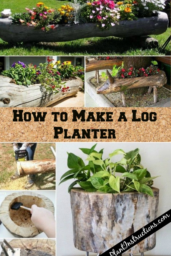 How to Make a Log Planter