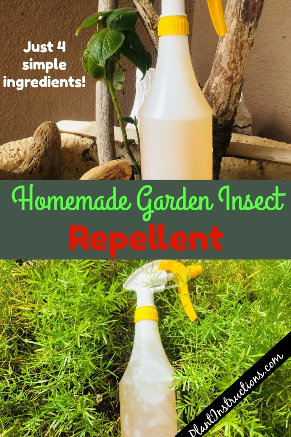 Homemade Garden Insect Repellent - Plant Instructions