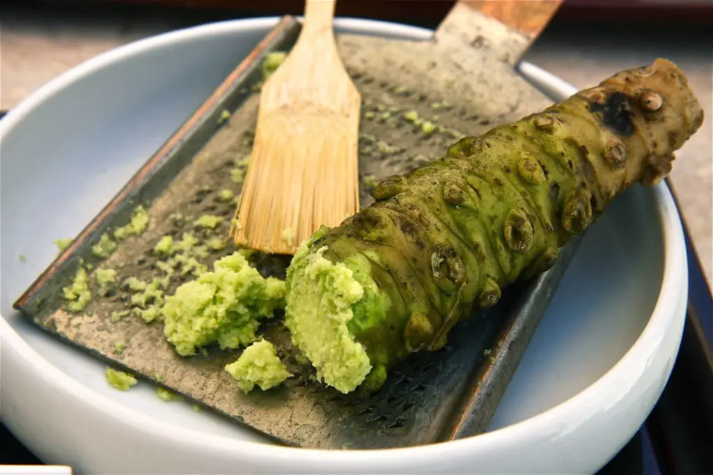 fresh wasabi