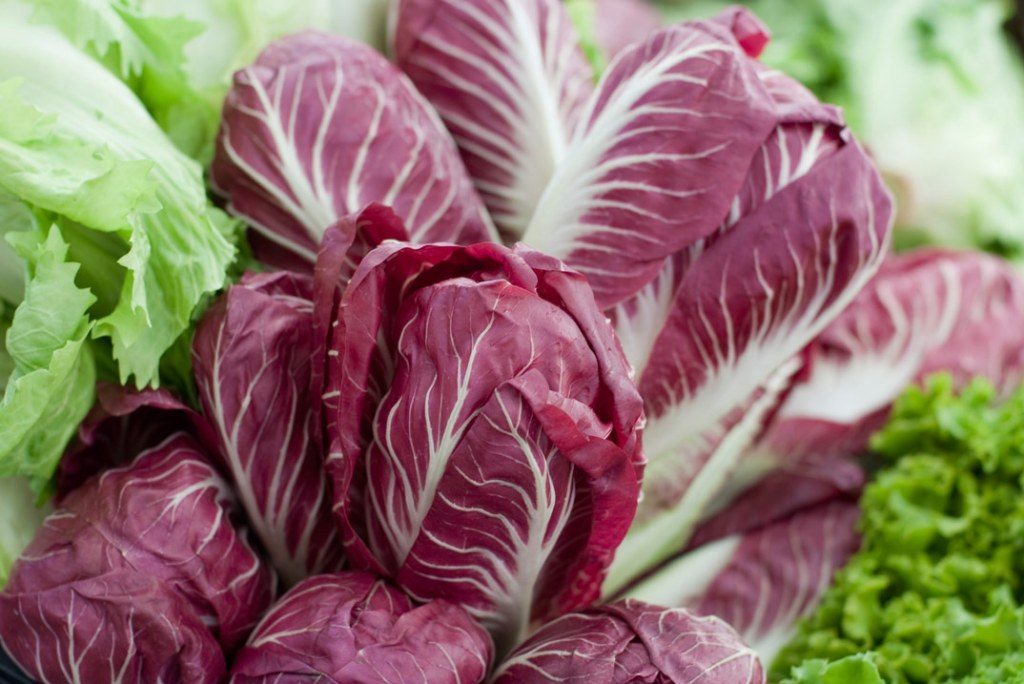 radicchio