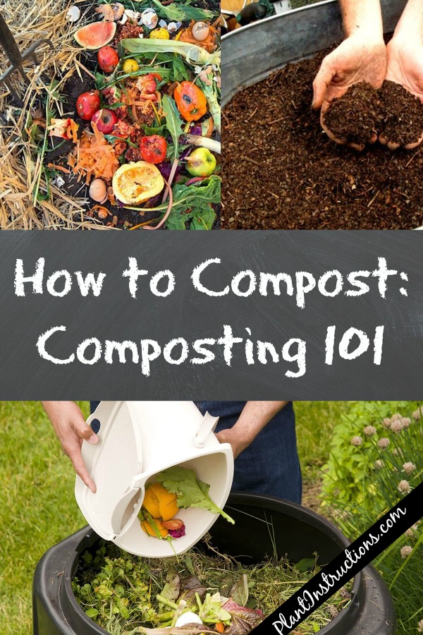 How to Compost