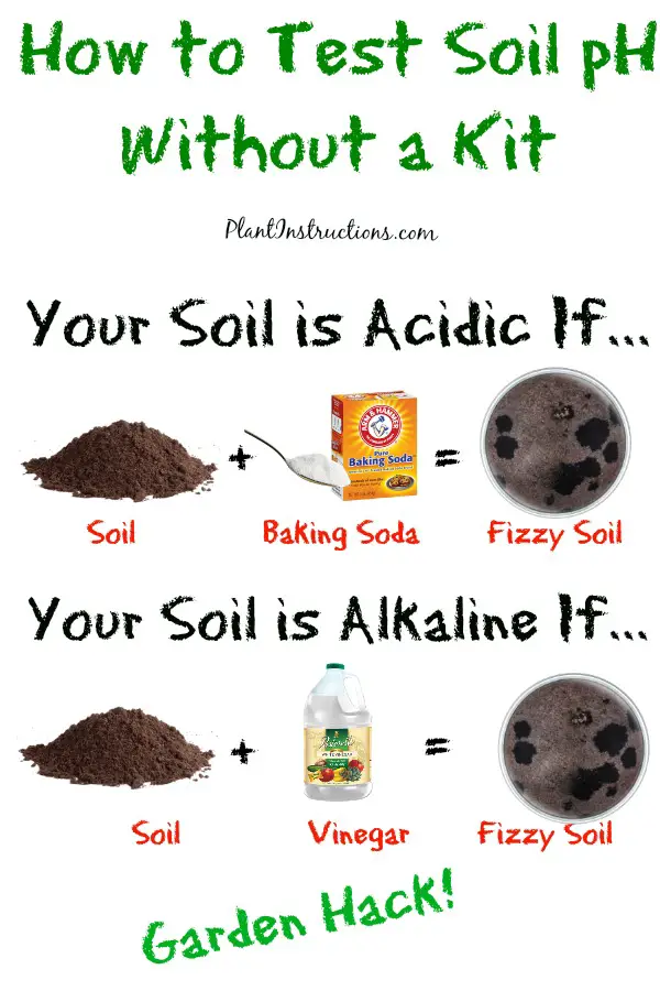 Test Soil pH Without a Kit