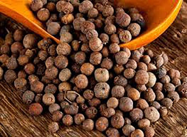 allspice pimenta