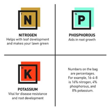 Understanding Fertilizer Numbers And NPK Values - Plant Instructions