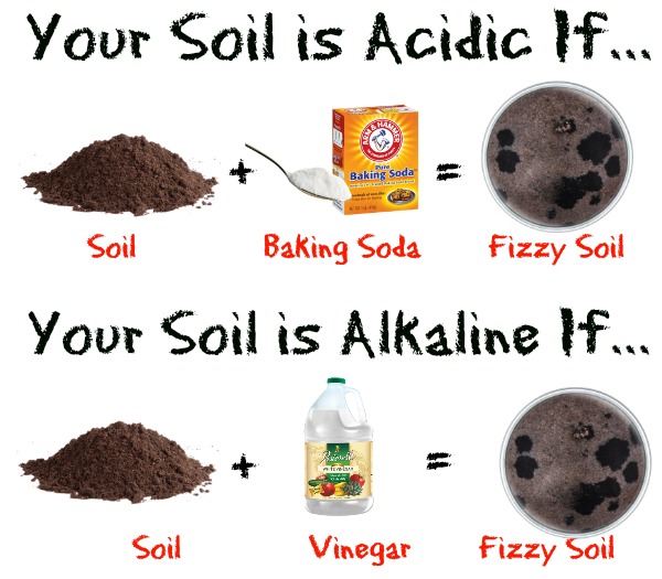 soil ph test