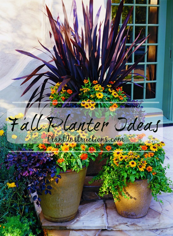 Fall Container Ideas