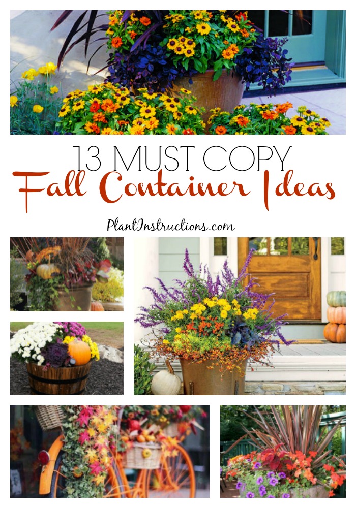 Fall Planter Ideas