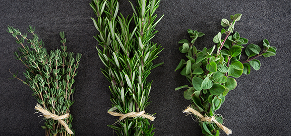 rosemary thyme oregano