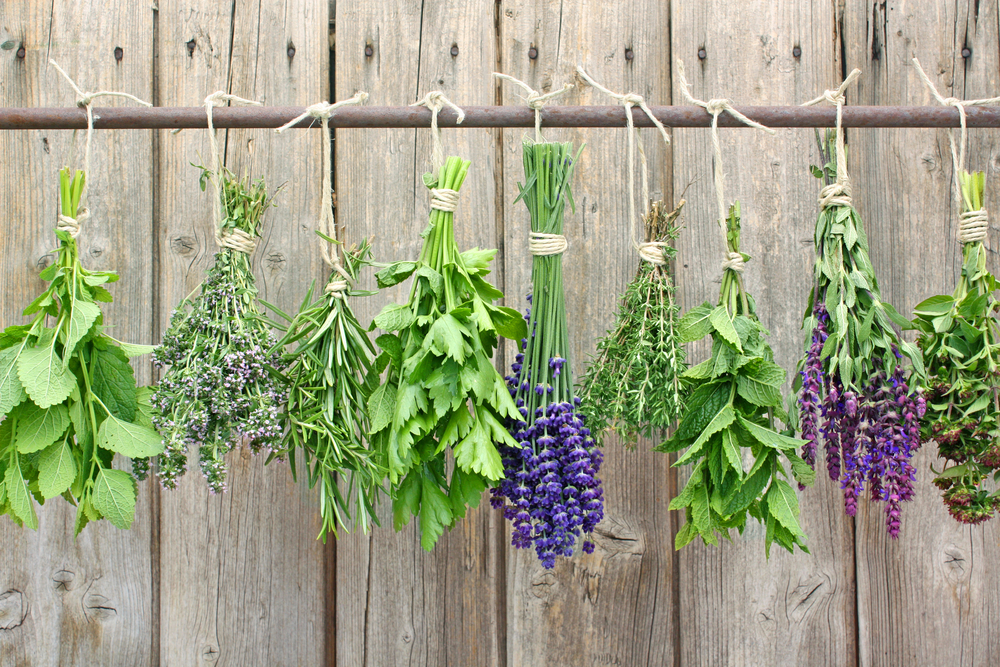 dried herbs