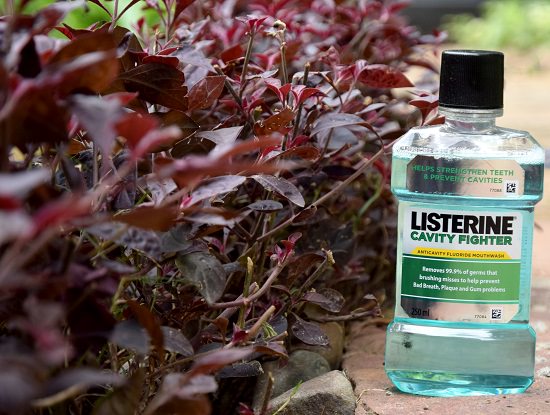 listerine for the garden