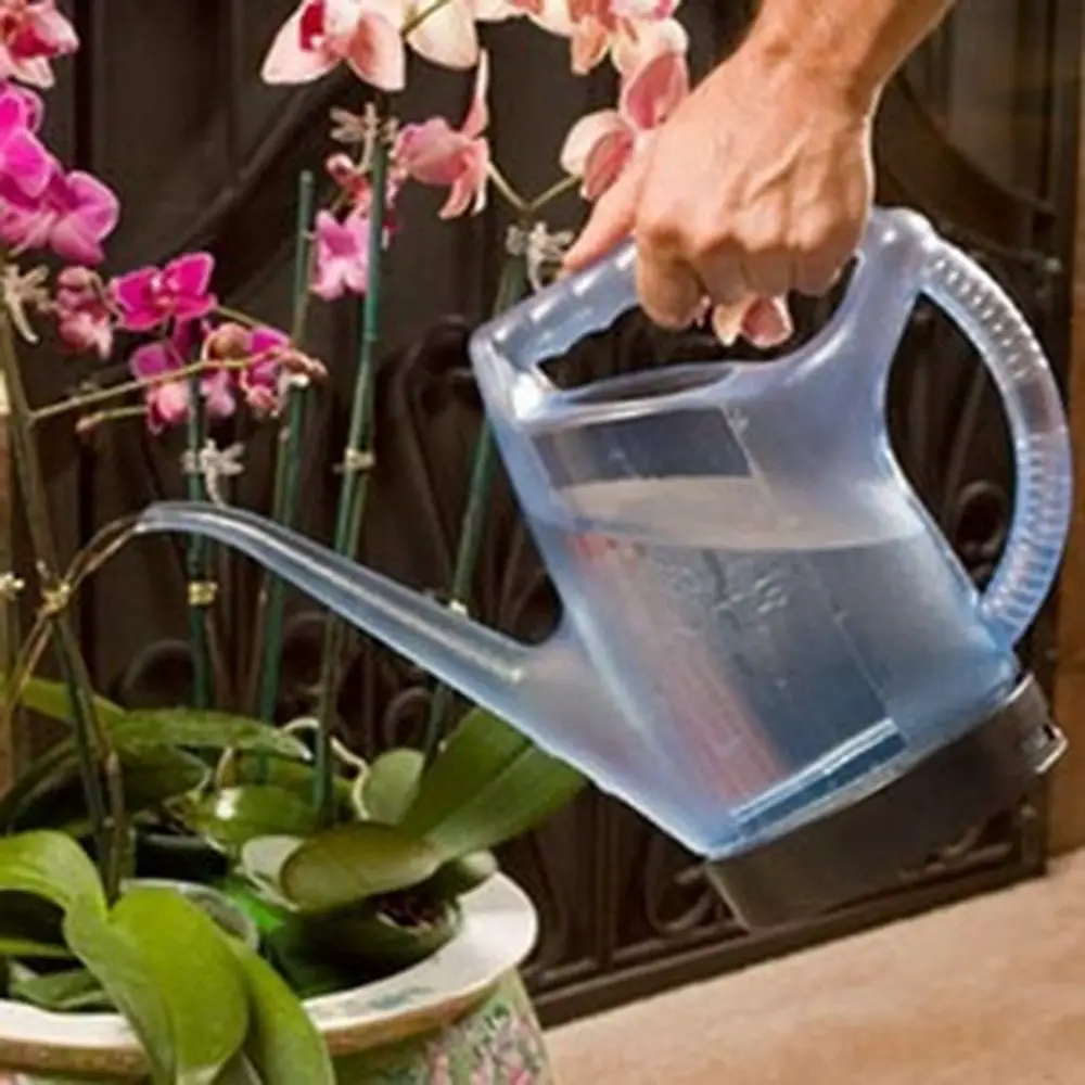 watering orchids