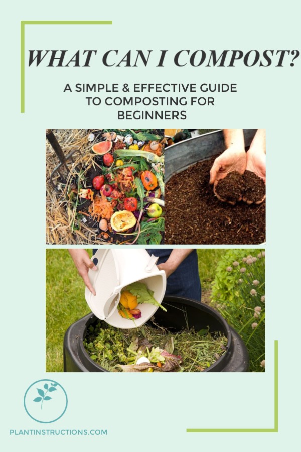 What Can You Compost