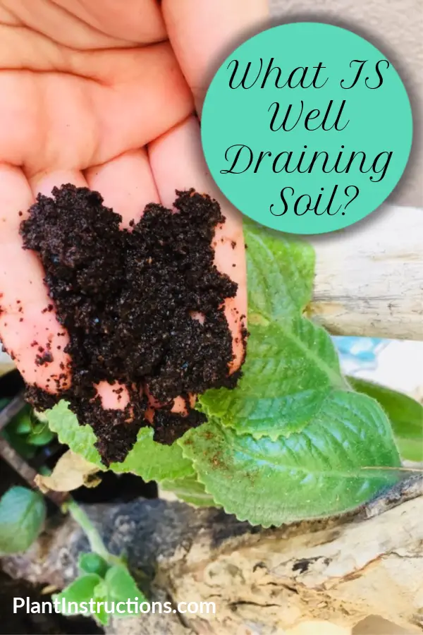 What is Well Draining Soil