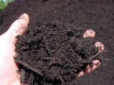 soil won t absorb water