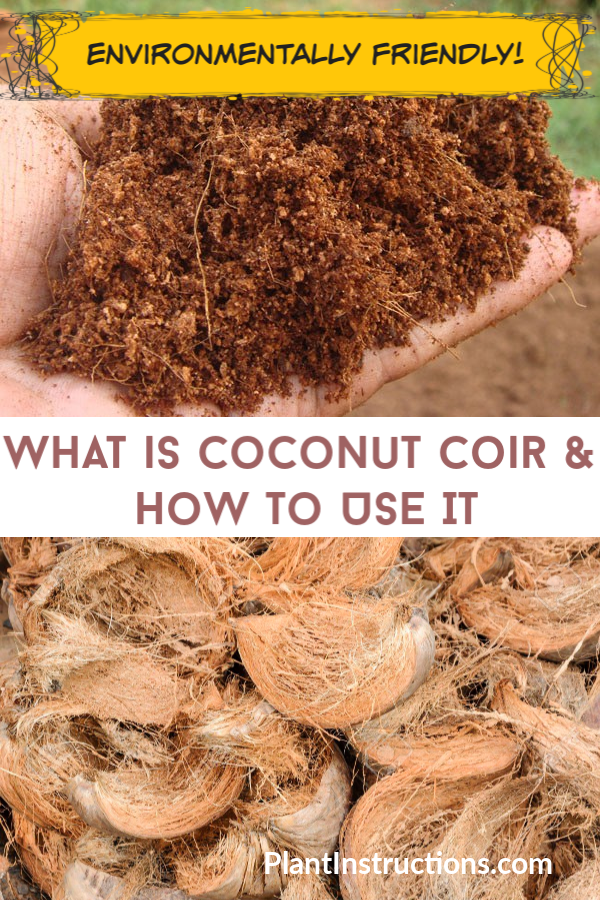 What is Coconut Coir