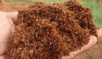 What is Coconut Coir
