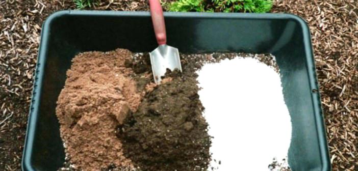 soilless potting mix