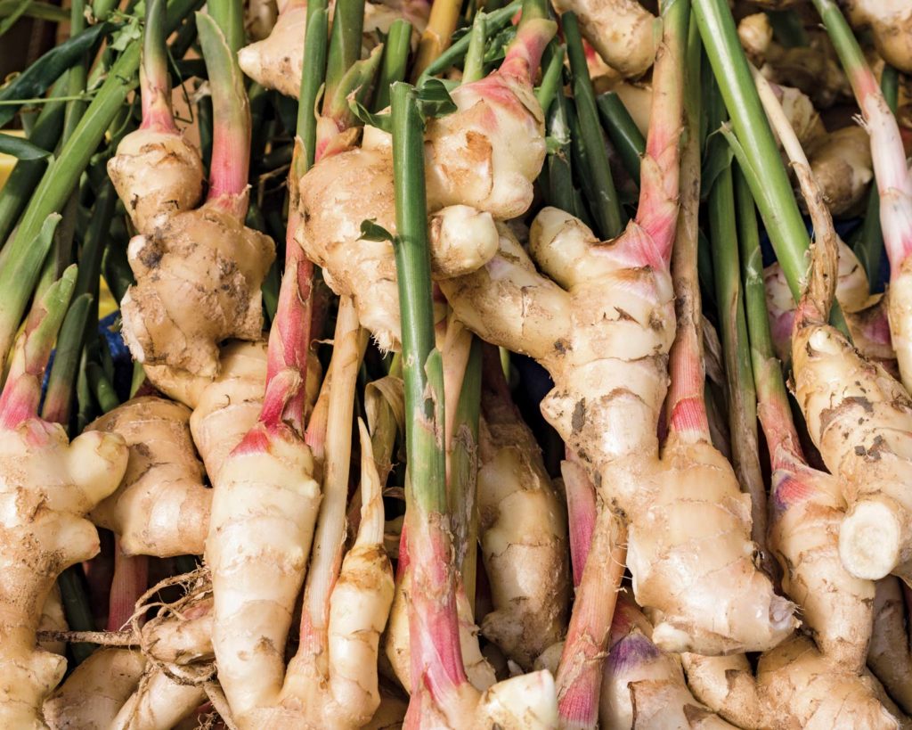 ginger rhizome