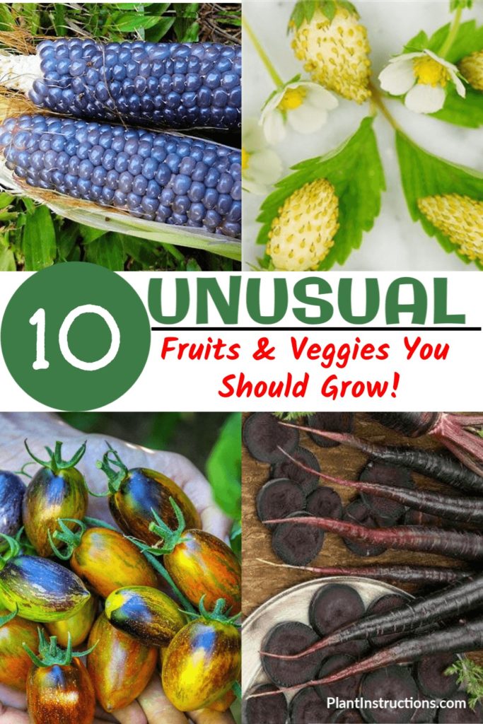 Unusual Fruits and Vegetables