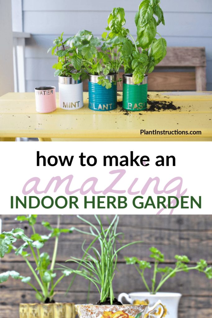 How to Make an Indoor Herb Garden