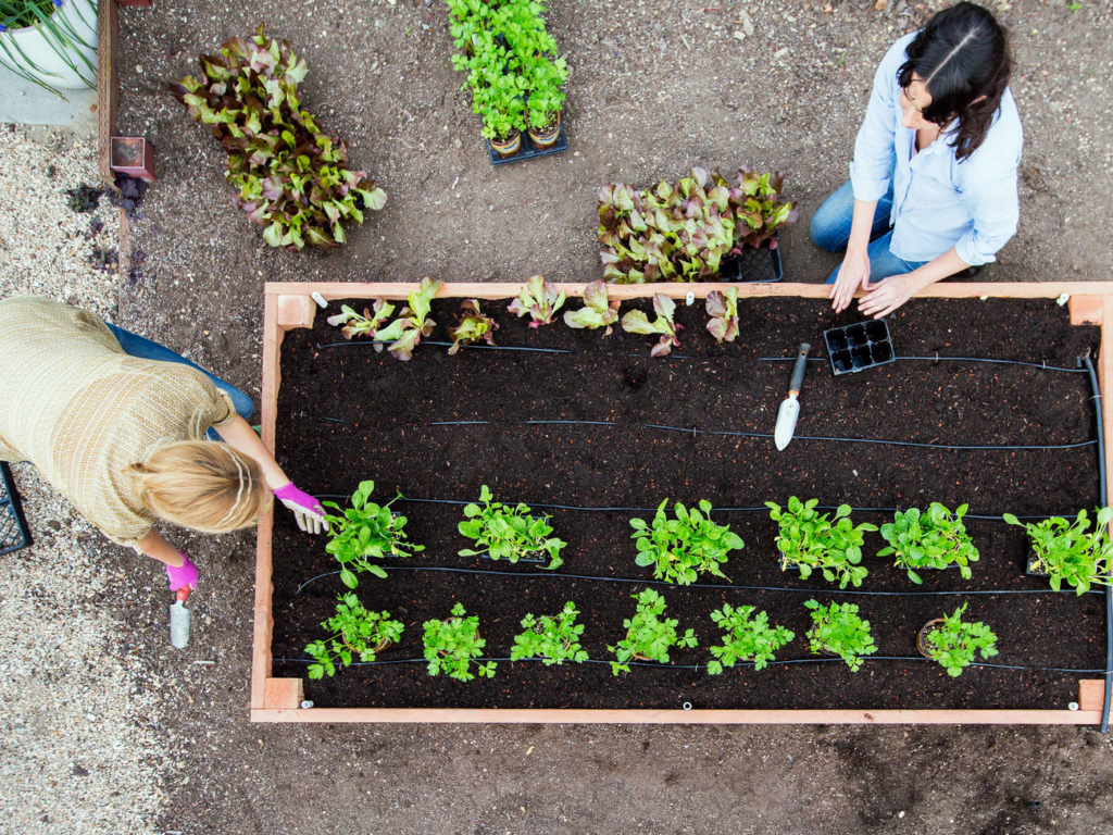 build your own raised garden beds