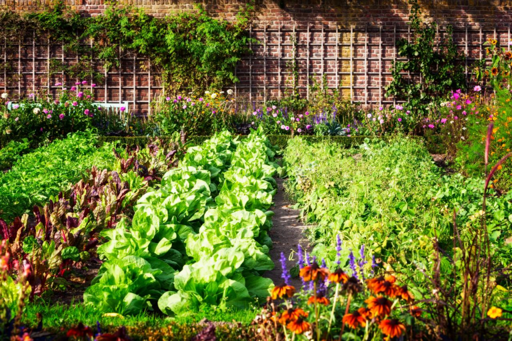 How to Start a Vegetable Garden From Scratch - Plant Instructions