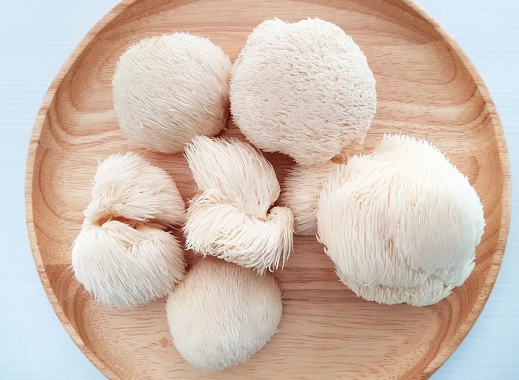 how to grow lions mane mushrooms