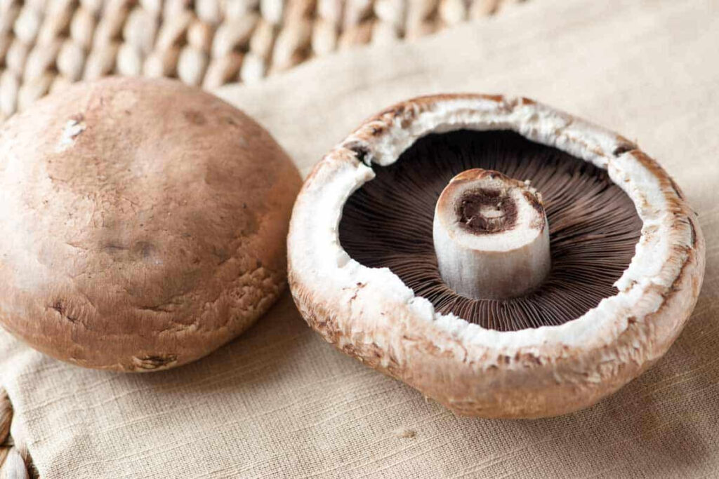 portobello mushrooms