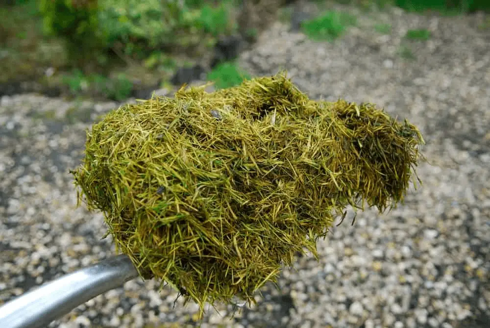 how to reuse grass clippings