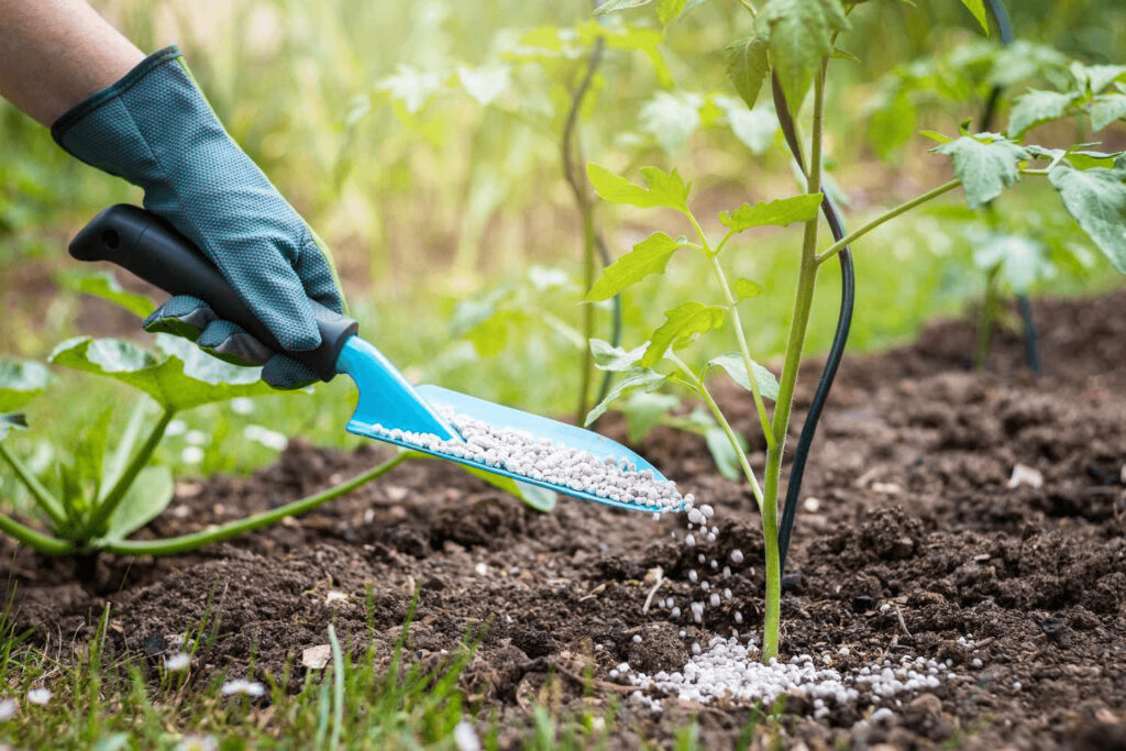 spring fertilizing