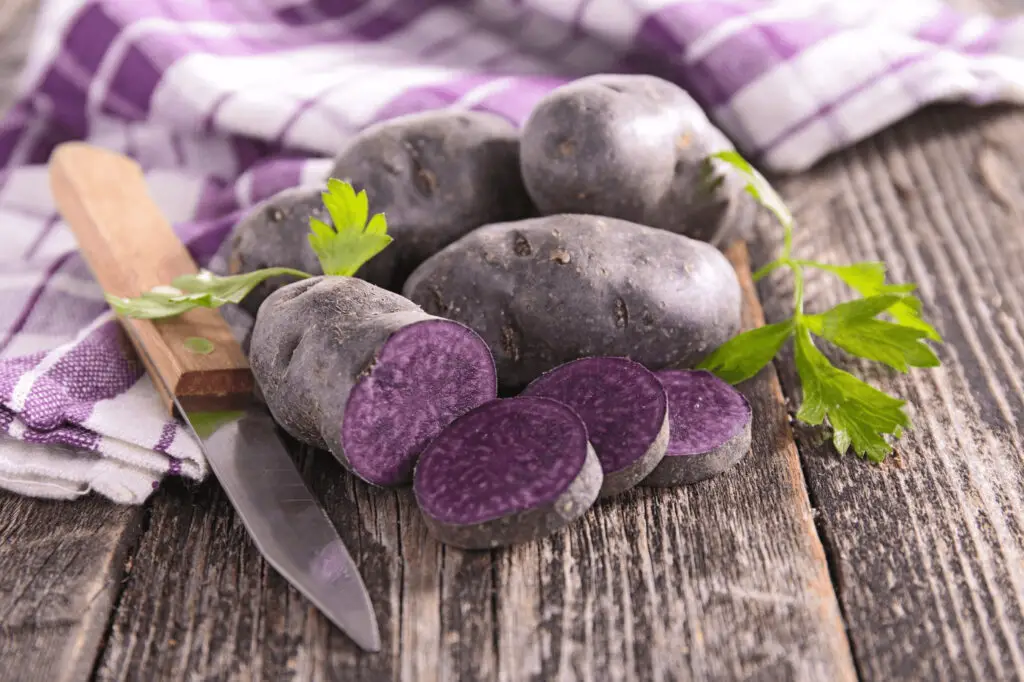 how to grow russian blue potatoes