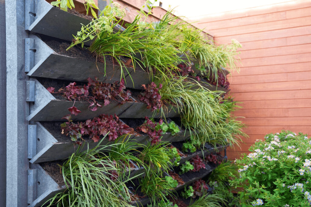 benefits of vertical gardening