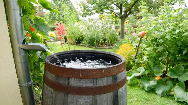 collecting and using rainwater