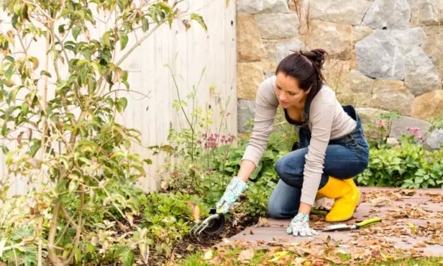 Preparing Your Garden for Winter: Tips for a Healthy Spring Start