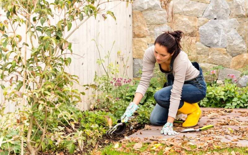 fall gardening