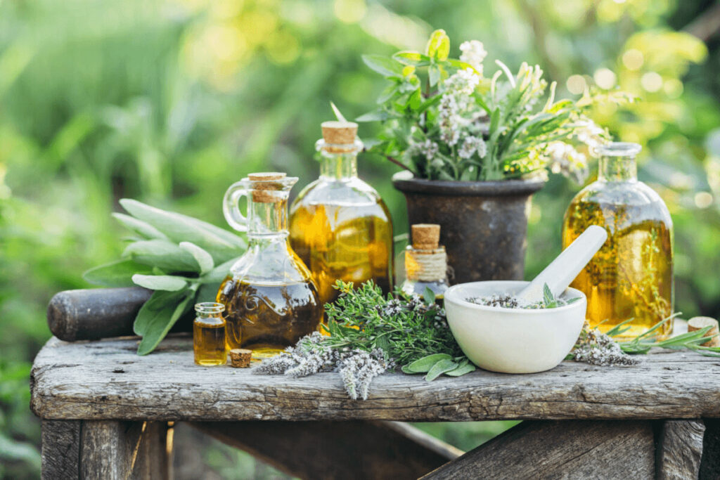 planting a medicinal herb garden'