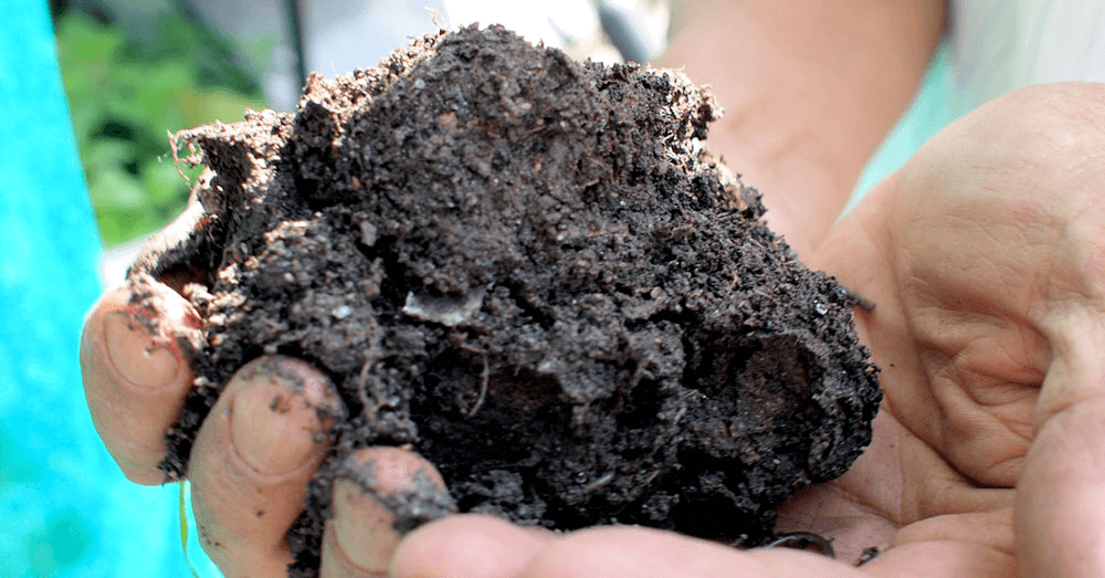 using biochar in gardens